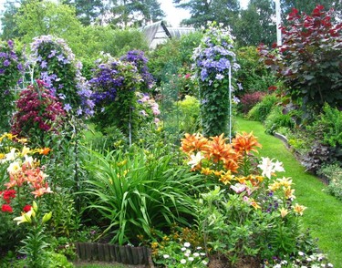 Дачные сады формируют новый стиль