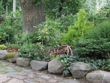 Хит сада в лесу: хвойно-вересковый миксбордер